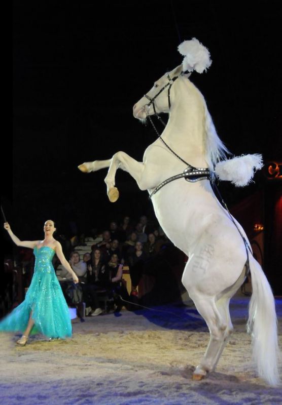 2011_12_25__05831.jpg