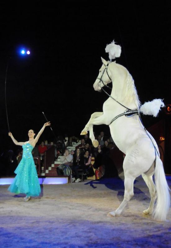 2011_12_25__05833.jpg