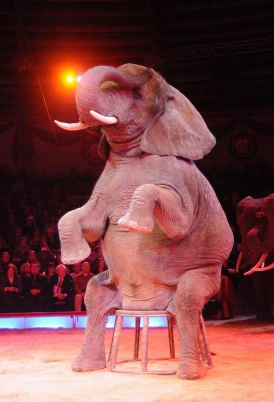 2011_12_25__07578.jpg