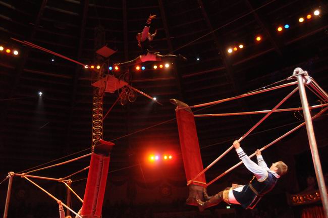2011_12_25__08248.jpg
