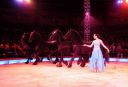 2011_12_25__05605.jpg