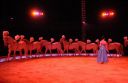 2011_12_25__05655.jpg