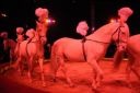 2011_12_25__05666.jpg