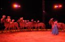 2011_12_25__05674.jpg