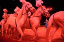 2011_12_25__05675.jpg