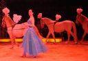2011_12_25__05755.jpg