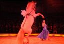 2011_12_25__05767.jpg