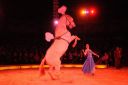 2011_12_25__05769.jpg