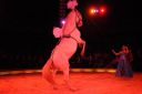 2011_12_25__05773.jpg