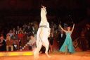 2011_12_25__05796.jpg