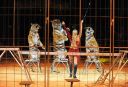 2011_12_25__06938.jpg