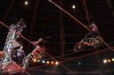 2011_12_25__07040.jpg