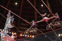 2011_12_25__07075.jpg