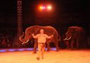 2011_12_25__07415.jpg