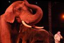 2011_12_25__07816.jpg