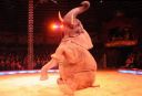 2011_12_25__07826.jpg