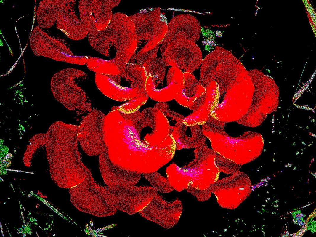 2003_07_06__0003.jpg