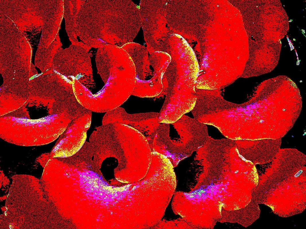 2003_07_06__0005.jpg