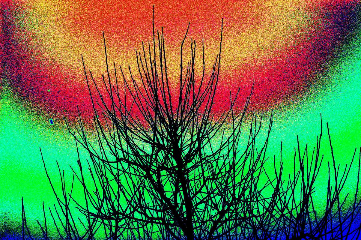 2003_12_25__0124.jpg
