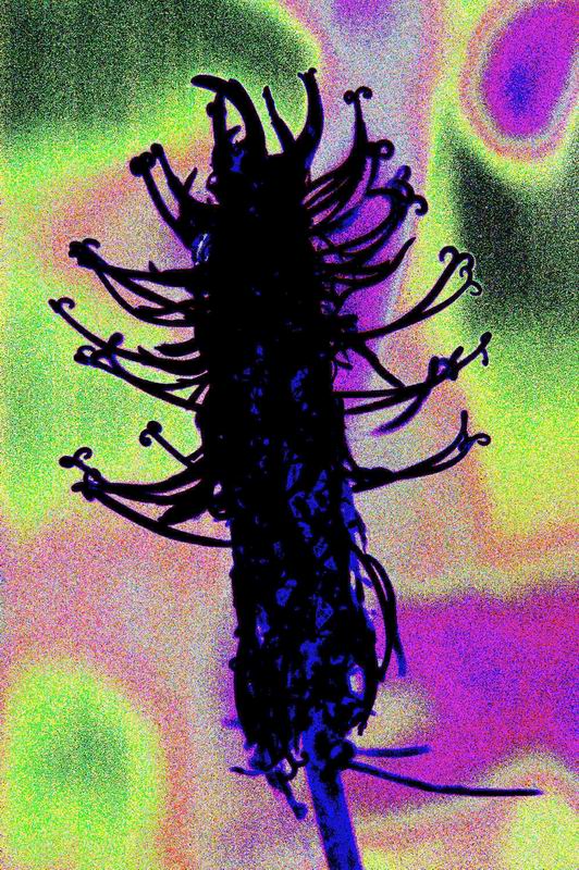 2005_06_15_0304.jpg