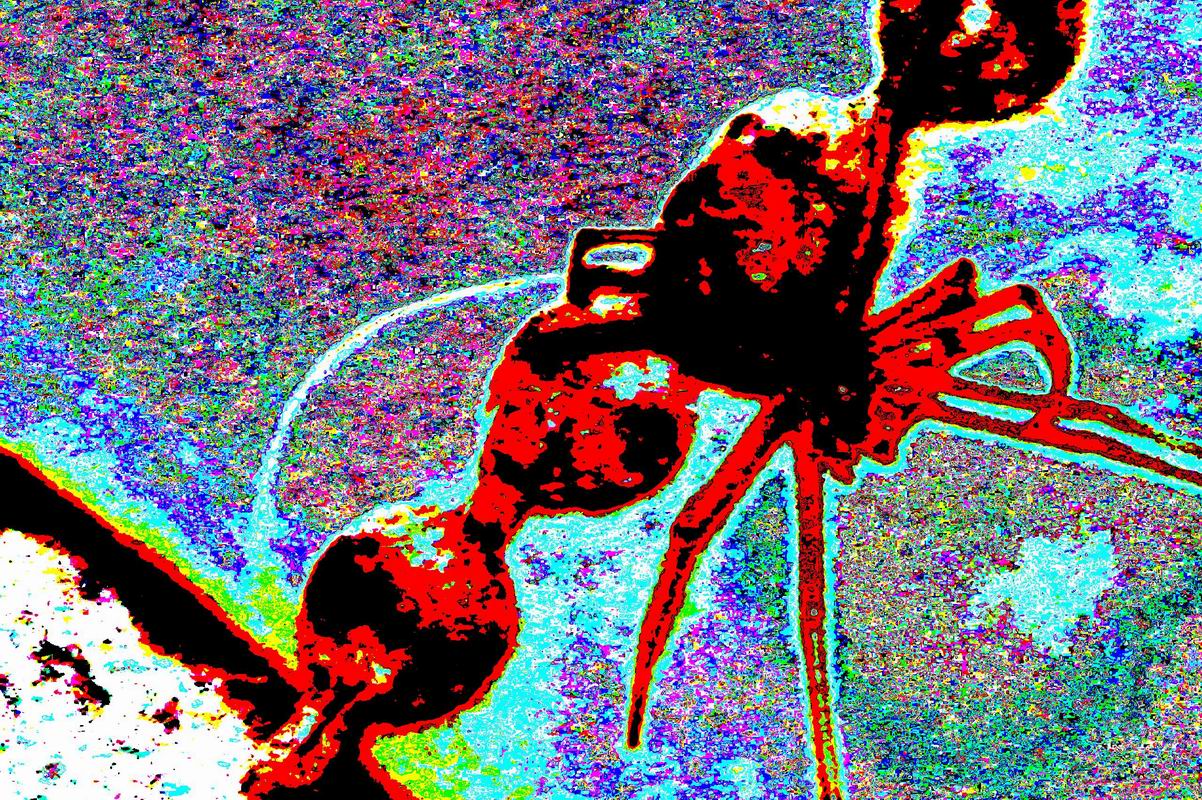 2005_08_09__000003.jpg
