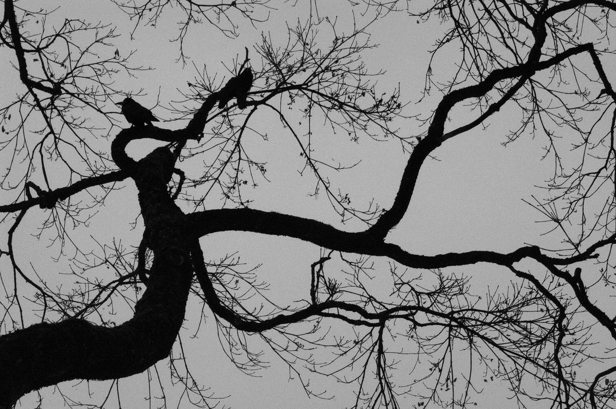 2006_01_25__07420.jpg