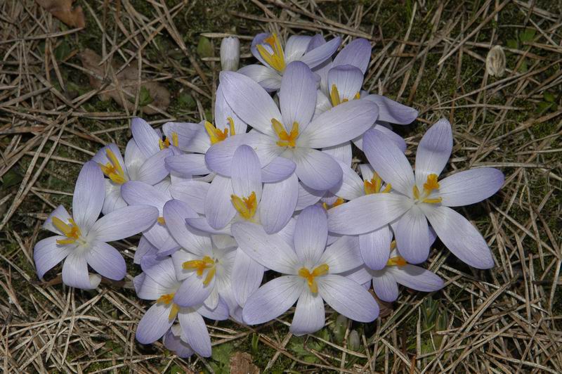 2006_03_27__0018.jpg