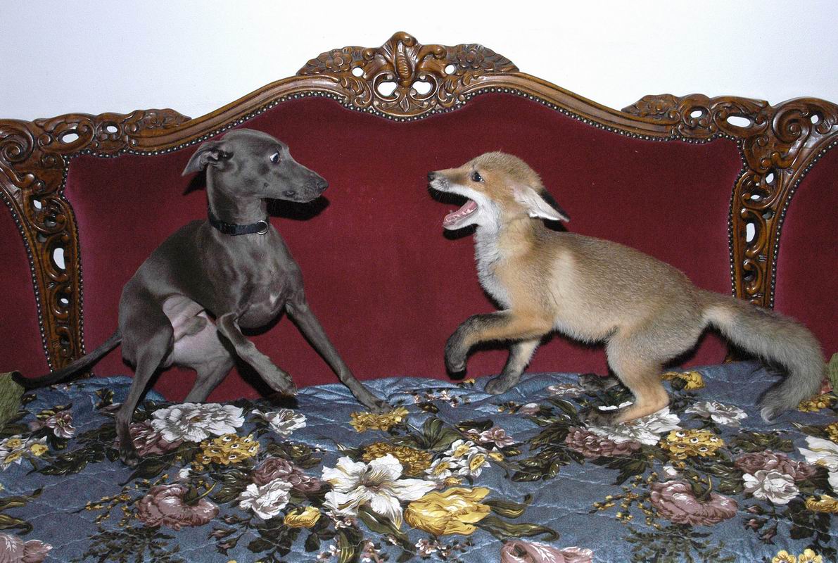 2006_06_15__01370.jpg