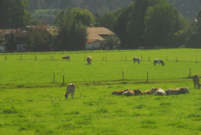 2006_09_01__0105.jpg