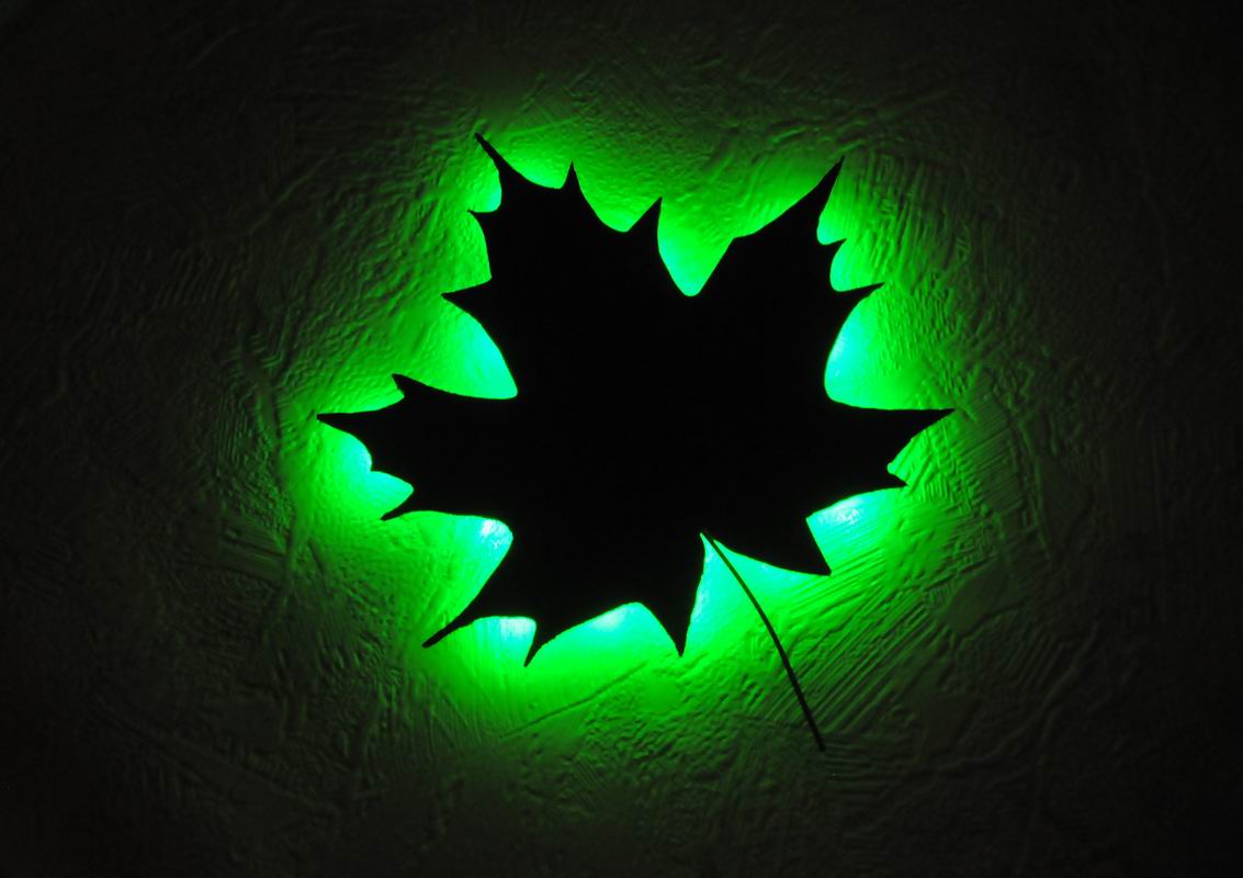 2008_10_25__07268_.jpg