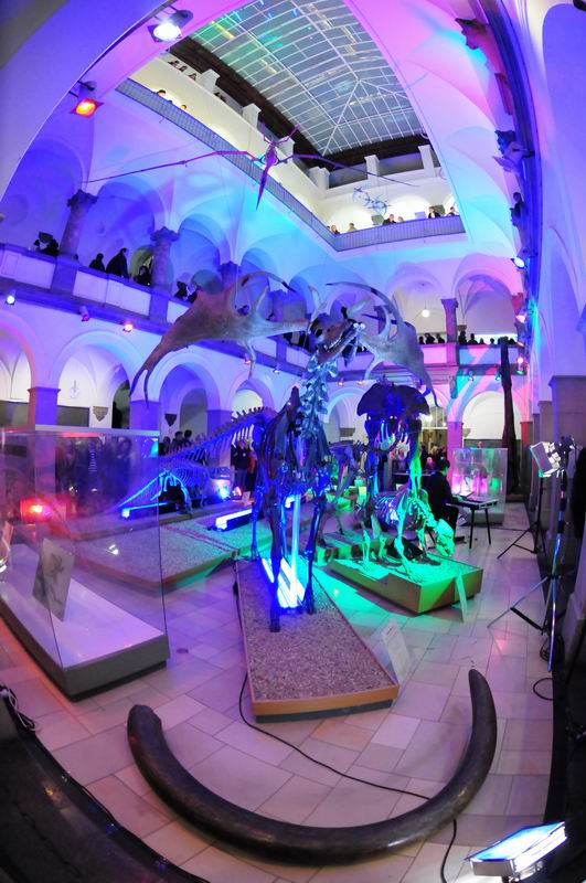 2008_10_25__08940_.jpg