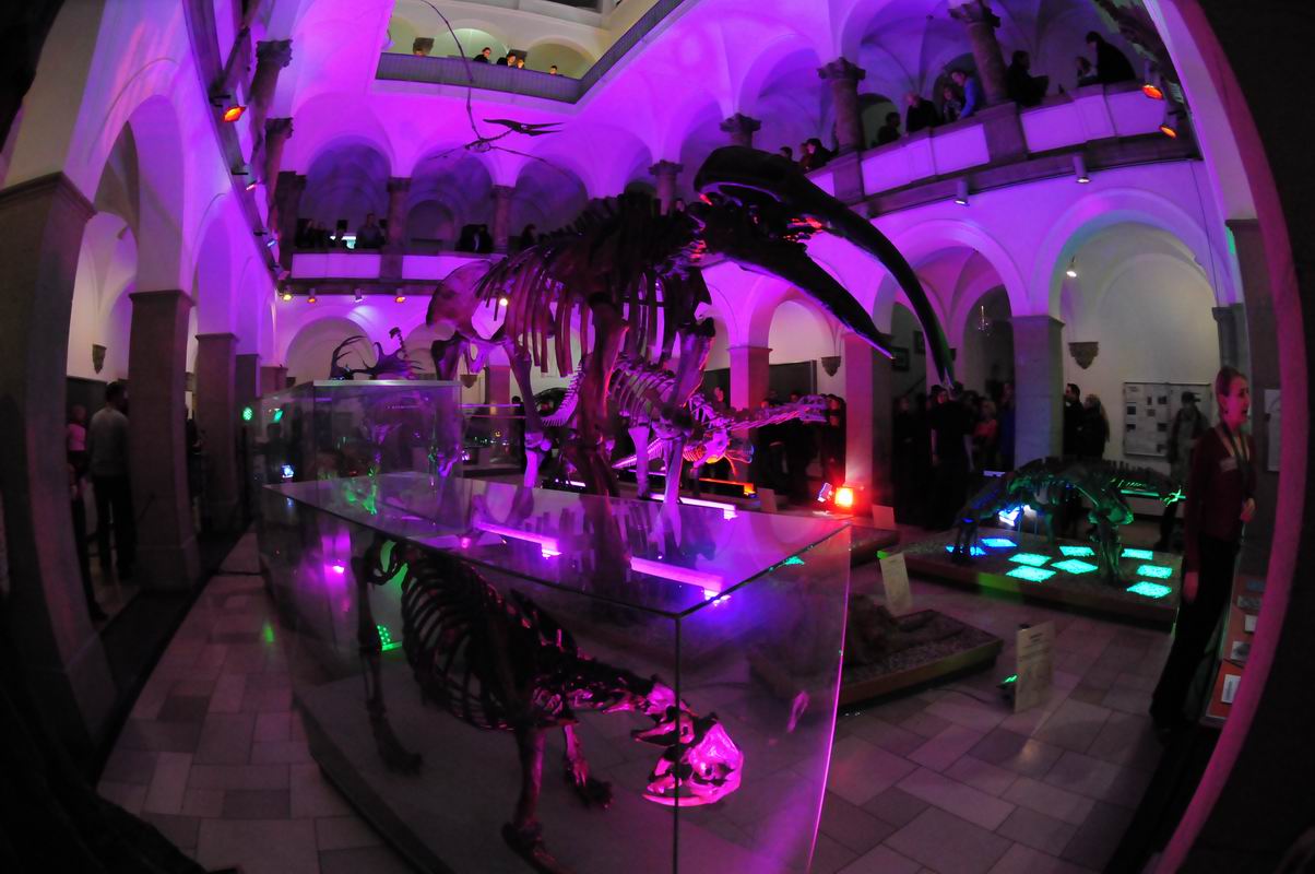 2008_10_25__09173_.jpg
