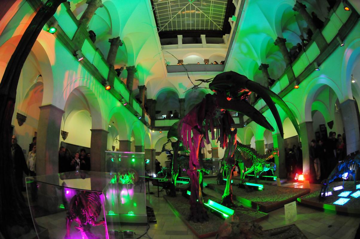 2008_10_25__09193_.jpg
