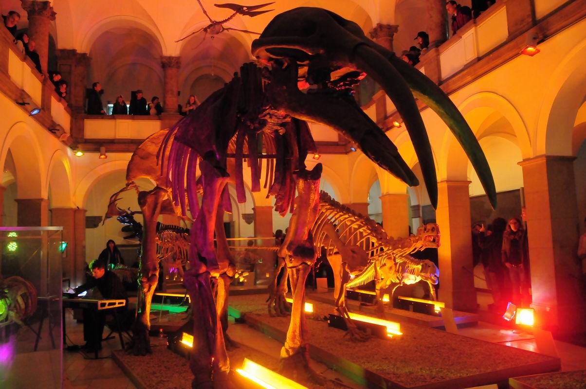 2008_10_25__09247_.jpg