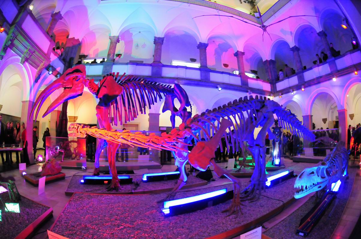 2008_10_25__09528_~0.jpg