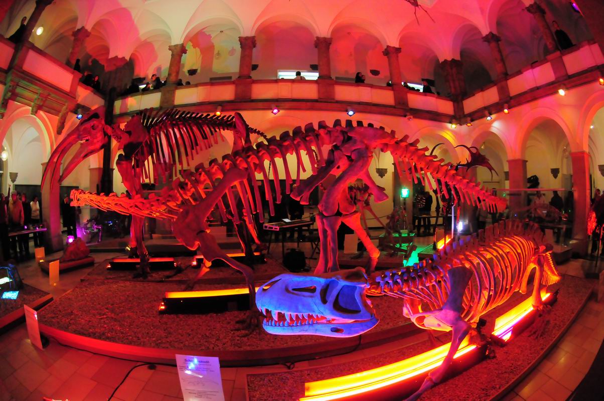 2008_10_25__09657_~0.jpg