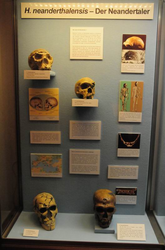 2008_10_25__09726_~0.jpg