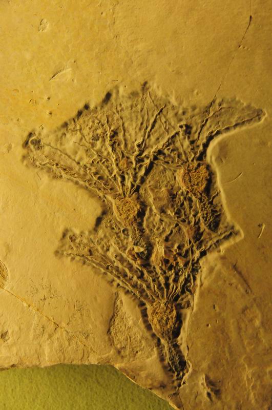 2008_10_25__10000_.jpg