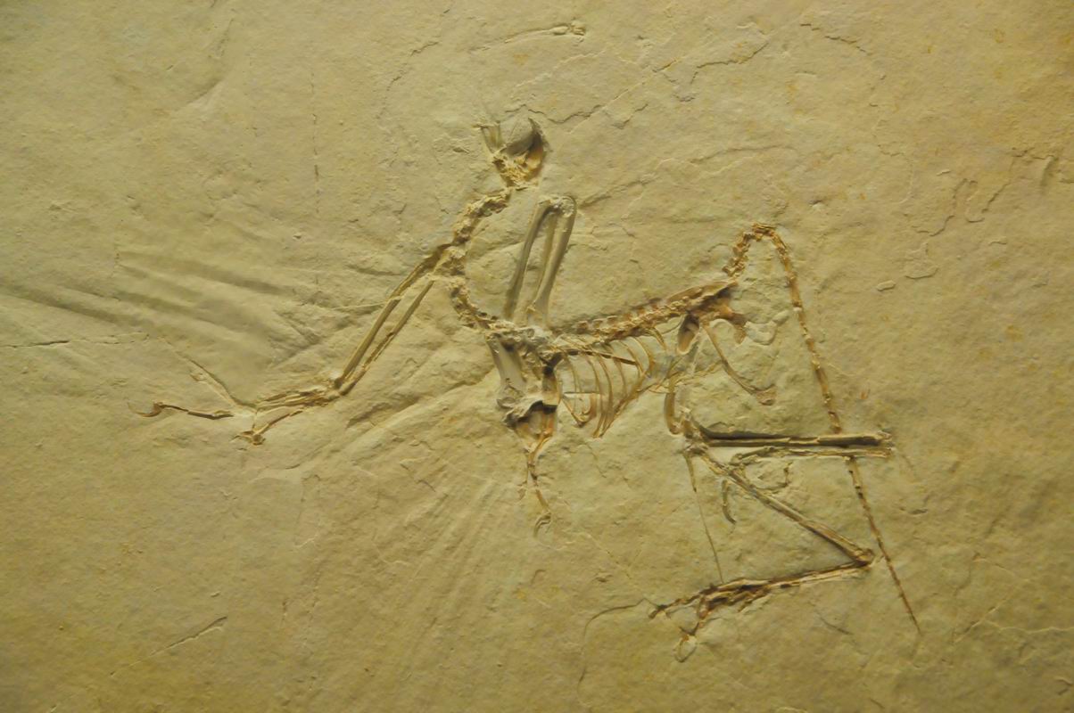 2008_10_25__10036_.jpg