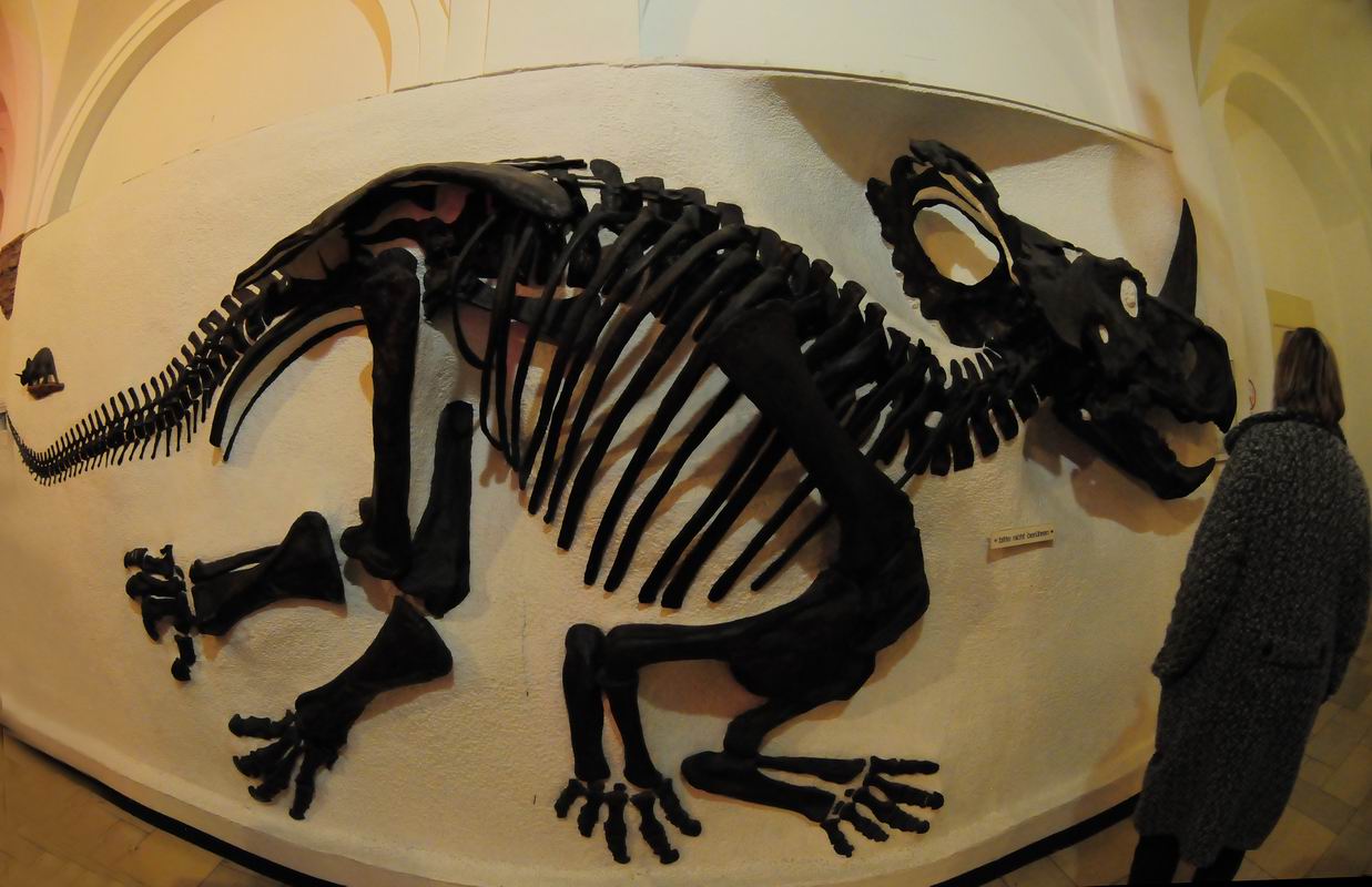 2008_10_25__10175_.jpg