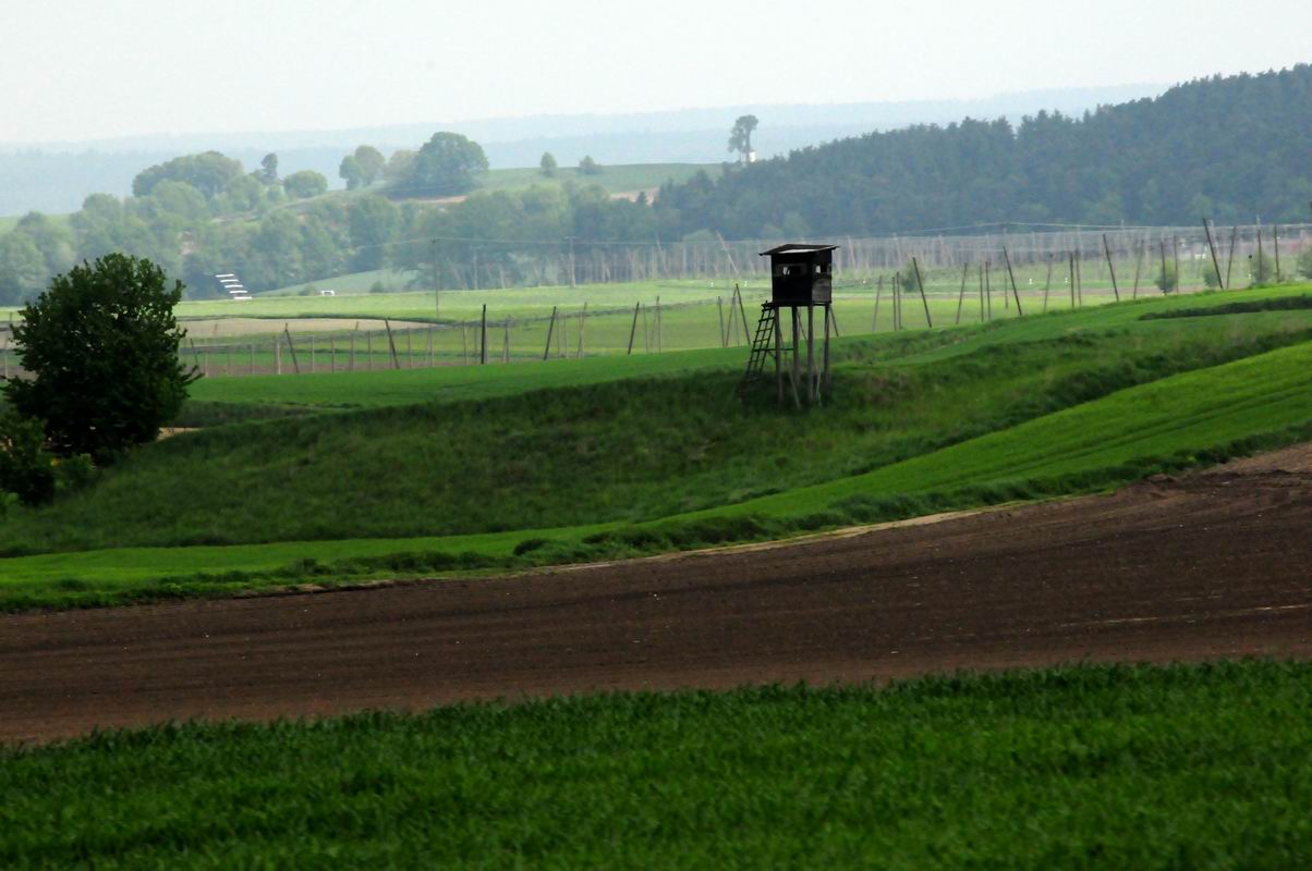2009_05_09__6784.jpg