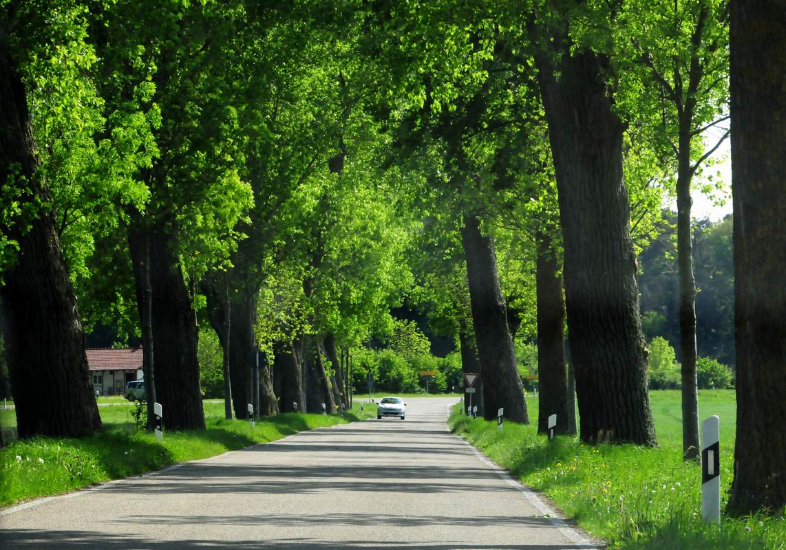 2009_05_09__6793.jpg
