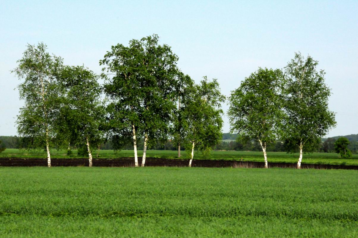 2009_05_09__6816.jpg