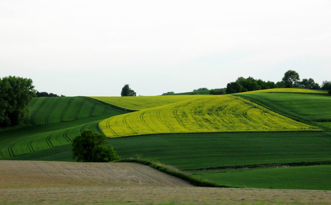 2009_05_09__6822.jpg