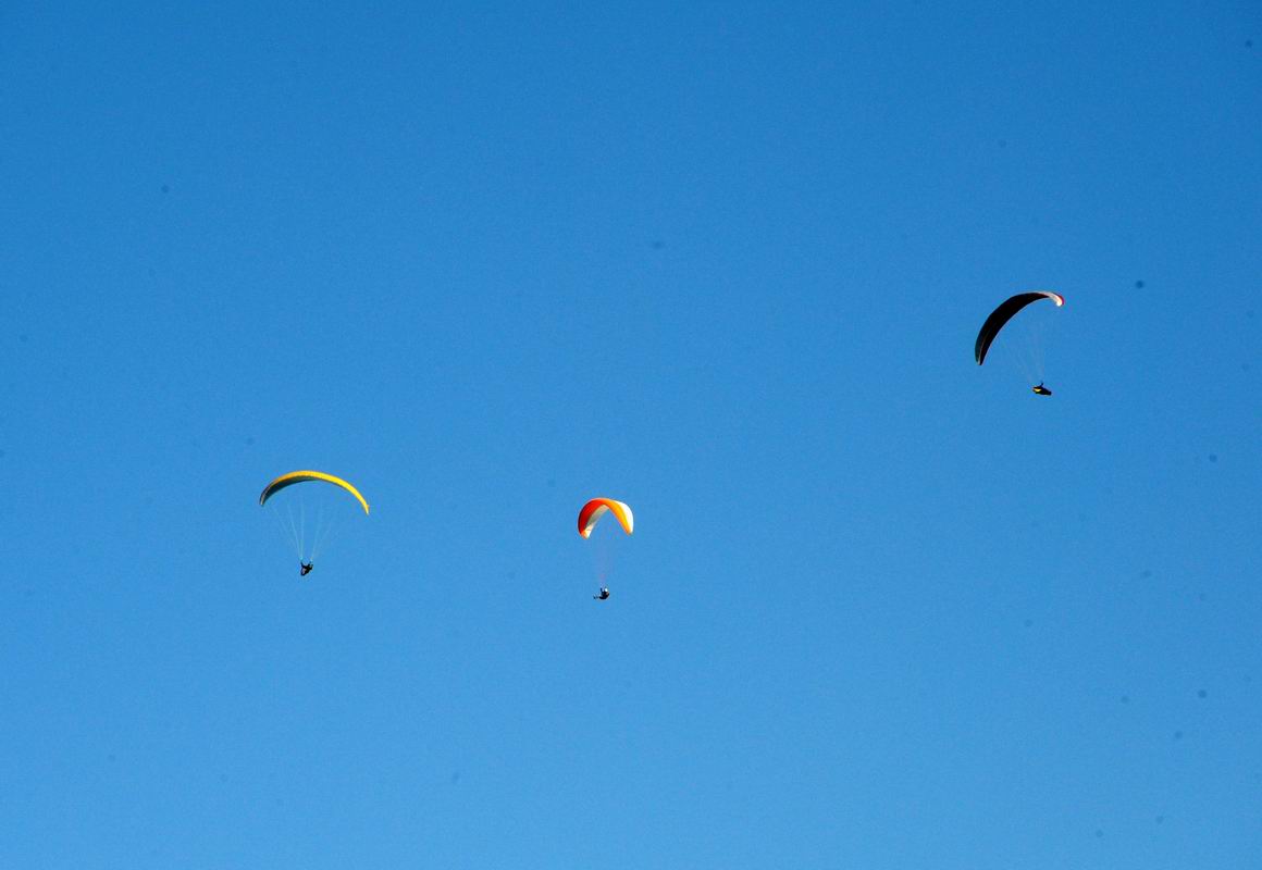 2009_07_29_01714_.jpg