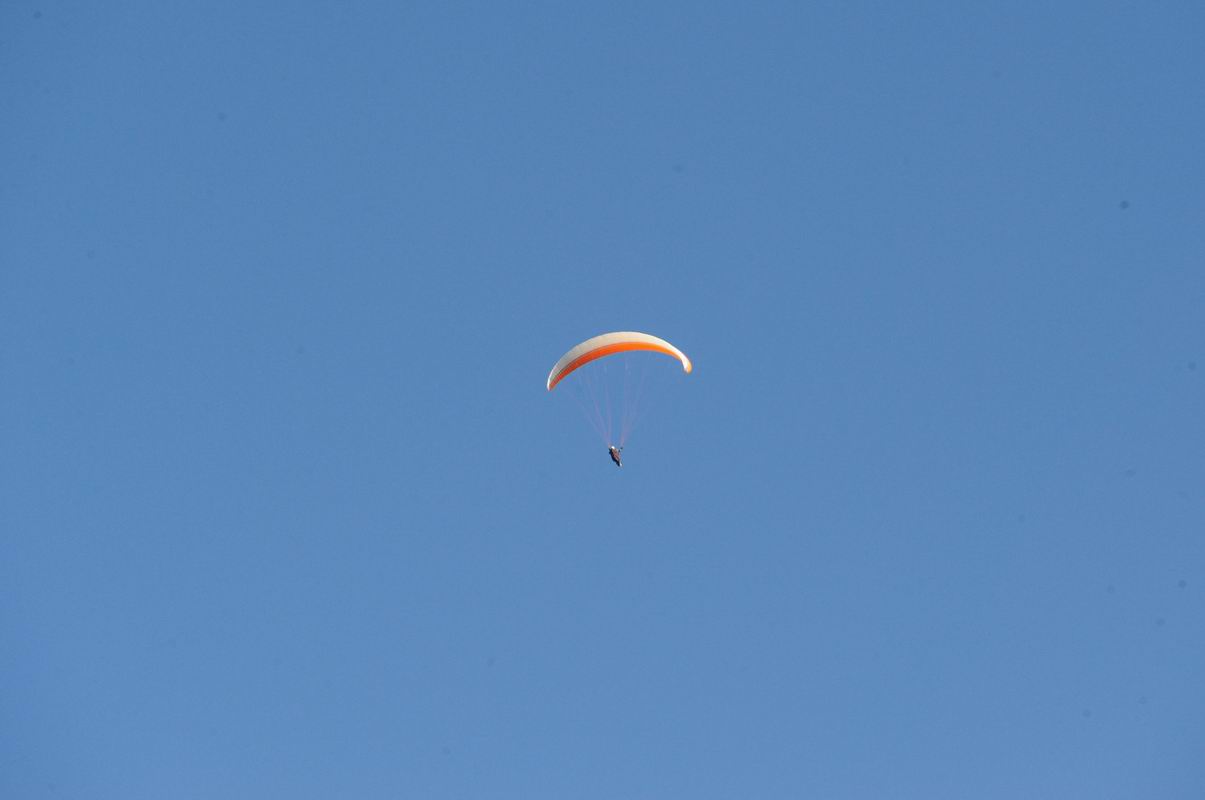 2009_07_29_01775_.jpg