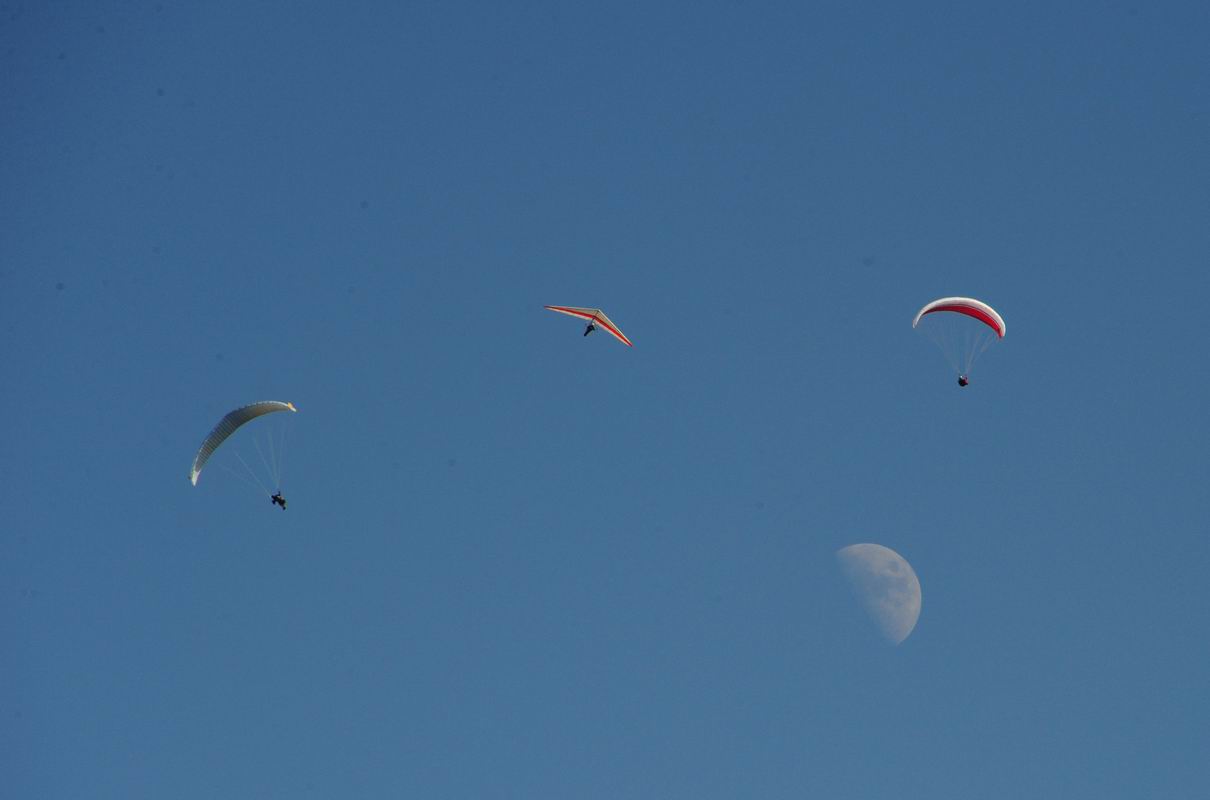 2009_07_29_01824_.jpg