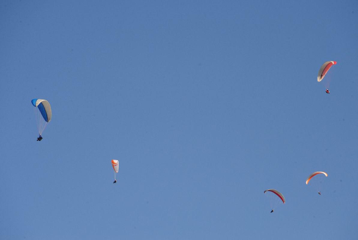 2009_07_29_01916_.jpg