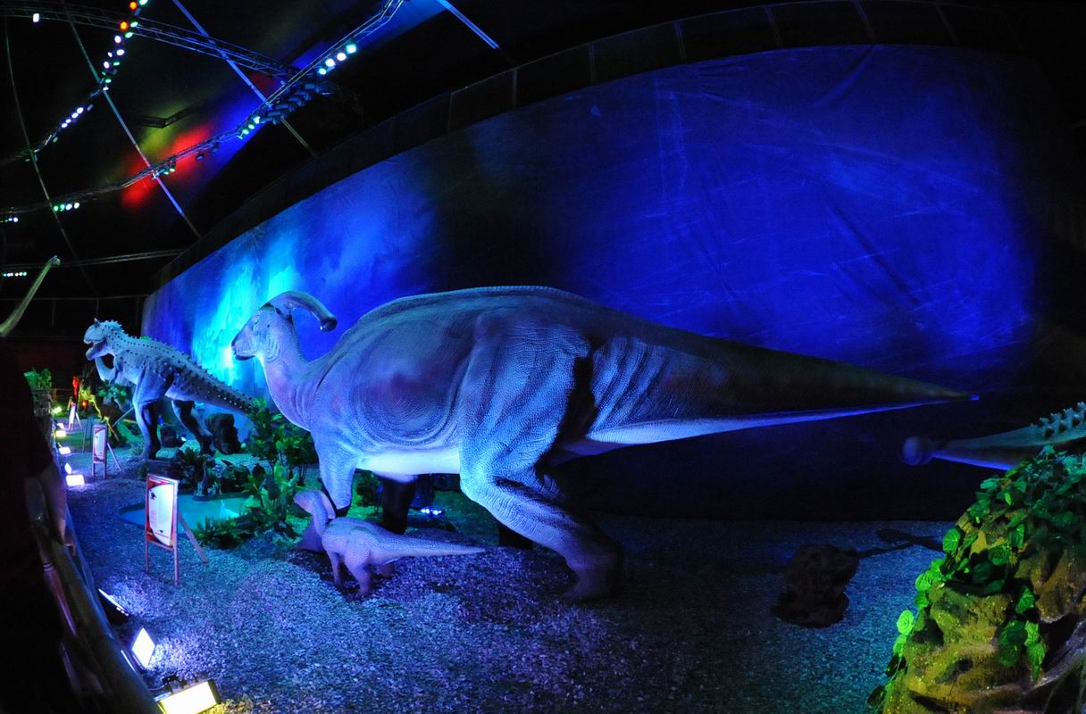 2010_07_01_07046.jpg