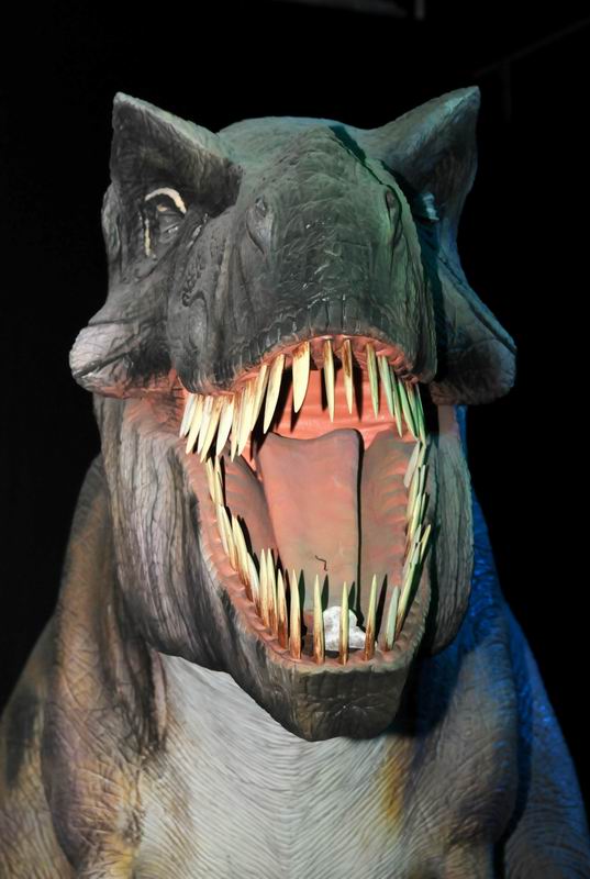 2010_07_01_07128.jpg